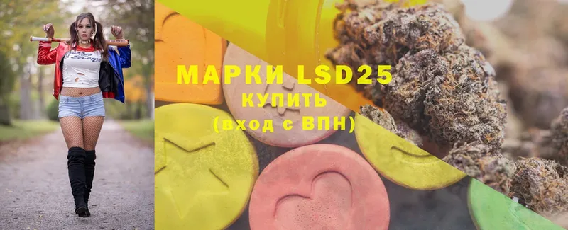 Где купить наркотики Курлово Марихуана  Меф  СОЛЬ  LSD-25  ГАШИШ 